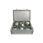 AVID AE-42 Green Headset 15 Unit Classpack